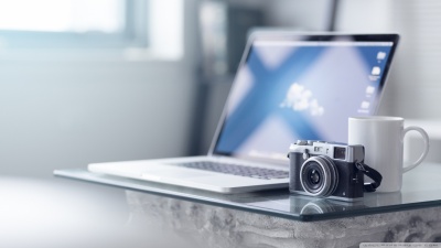 Risus vestibulum pretium nibh mauris