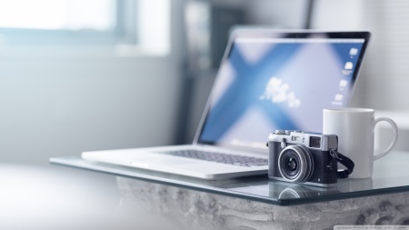 Risus vestibulum pretium nibh mauris