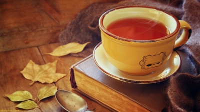 Rutrum vestibulum dignissim ultrices vel